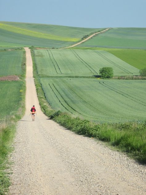 Camino Trail, Elysian Fields, Hiking Photography, Green Field, The Camino, Dirt Road, Day Hike, Dieselpunk, Pilgrimage