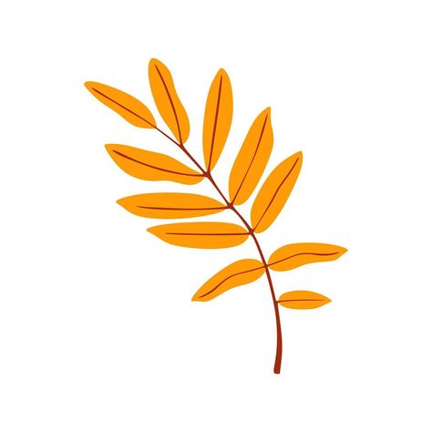 yellow orange leaves autumn. Vector illustration Autumn Leaf Illustration, Orange Clipart, Autumn Vector, Thanksgiving 2022, Orange Leaves, Leaf Illustration, Plant Vector, Leaves Autumn, Orange Leaf