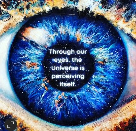 Through our eyes, the universe is perceiving itself #love #yees #spiritualjourney The Universe Experiencing Itself, Universe Experiencing Itself, Subconscious Mind Power, Child Of The Universe, Universe Love, Amazing Inspirational Quotes, Weird Words, Spiritual Words, Mind Power