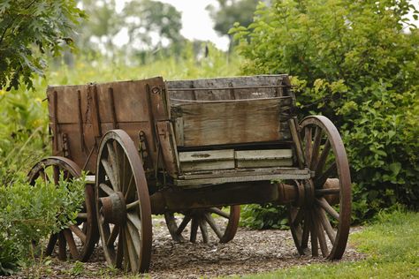 Antique Wagon, Farm Wagons, Horse Drawn Wagon, Wagon Cart, Old Wagons, Wooden Wagon, Covered Wagon, Illinois State, Wood Burning Patterns