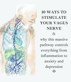 Autogenic Training, Nervus Vagus, Nerve Health, Vagus Nerve, Natural Health Remedies, Alternative Health, Wellness Gifts, Health Info, Emotional Health