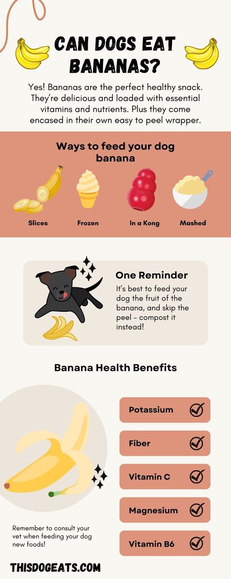 Can Dogs Eat Bananas? - This Dog Eats Banana For Dogs, Bananas For Dogs, Can Dogs Eat Watermelon, Can Dogs Eat Tomatoes, What Can Dogs Eat, Can Dogs Eat Apples, Can Dogs Eat Bananas, Dog Ice Cream Recipe, Can Dogs Eat Oranges