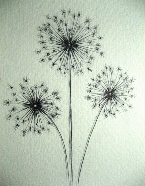 Dandelion Tattoo Design, Dandelion Drawing, Dandelion Art, Dandelion Tattoo, Cool Pencil Drawings, Plant Drawing, Malbec, A Drawing, Glass Painting