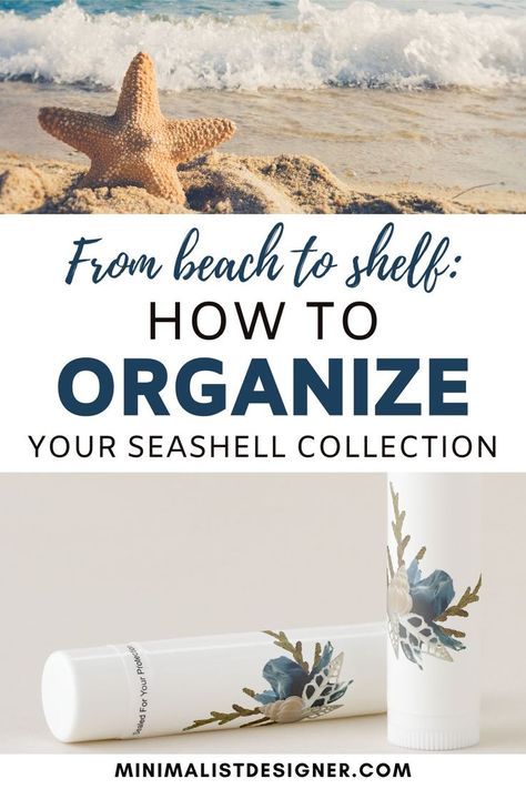 From beach to shelf: how to organize your seashell collection, sea life, shelling, shell collecting, shell crafts, sea shells, seashell art, seashell projects, what to do with sea shells, marine biology aesthetic, collection organizing, small home organization ideas, minimalist interior, seashell display ideas, collection display, seashell collector, keepsake box, gift box, wooden box, memory box, lip balm, microshells, mason jar, water bottle, marine Ikebana, seashell label organization notepad Shell Display Ideas Jars, Seashell Display Ideas, Small Home Organization Ideas, Small Home Organization, Marine Biology Aesthetic, Mason Jar Water, Label Organization, Organizing Small Home, Seashell Artwork