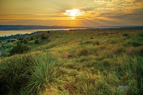 The rolling hills along the Missouri River near Platte. Photo by Christian Begeman. Ranch Hand, Missouri River, East River, Rolling Hills, Big Sky, New Journey, Top Of The World, Learn To Paint, South Dakota