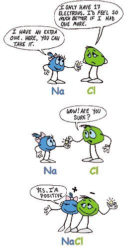 Sodium chloride cartoon. So cute! I'm glad to have this when teaching physical science. Science Cartoons, Chemistry Classroom, Chemistry Education, Chemistry Humor, Chemistry Jokes, Atomic Structure, Teaching Chemistry, 8th Grade Science, Chemistry Lessons