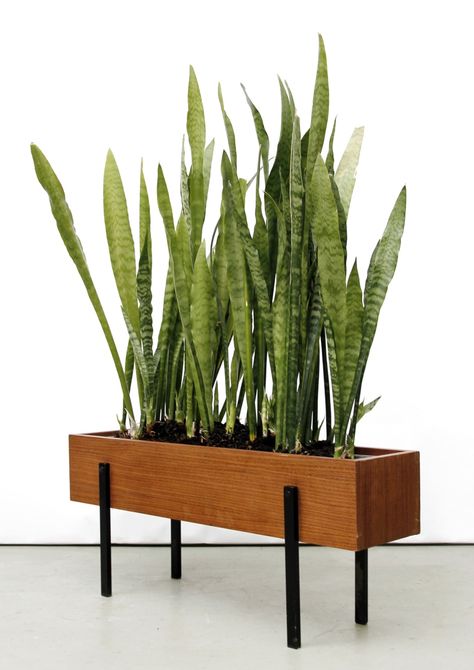 Anonymous; Teak and Enameled Metal Planter, c1960. Diy Wood Planter Box, Planter Box Designs, Diy Wooden Planters, Diy Wood Planters, Teak Patio Furniture, Trendy Plants, Wooden Planter Boxes, Wooden Planter, Wood Planter Box