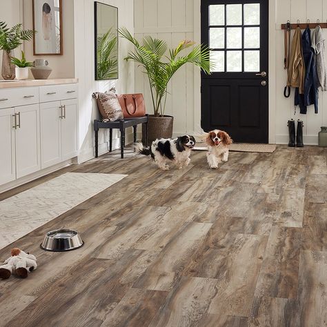 Exceptional pet-approved durability—STAINMASTER Pet Protect Forest City Pine Waterproof Wood-Based Laminate Flooring is a blend of muted greys, browns and beiges that create a warm vintage look for your space. The pressed bevel edge and authentic wood texture make these laminate wood floors a stunning addition to any home. And with beauty comes performance. Strong enough for pets and their people, our CLAWSHIELD™ is designed with enhanced scratch resistance to meet the demands of 2 homes with pe Rustic Home Flooring, Kitchen Flooring With Dark Cabinets, New Laminate Flooring, Natural Wood Flooring Living Room, Floating Floors Laminate, Home Floor Ideas, Laminate Wood Flooring Basement, Basement Wood Floor, Laminate Wood Flooring Bedroom