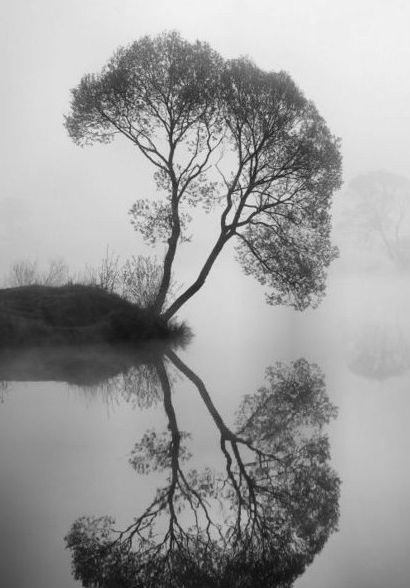 © Ansel Adams.      Through the water.., Ansel Adams Photos, Straight Photography, Gcse Photography, Bw Photography, Black And White Landscape, The Reflection, History Of Photography, Conceptual Photography, Photography 101