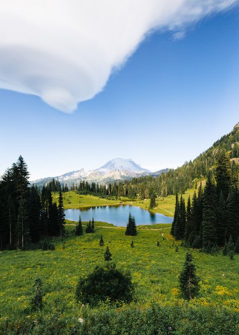 The Ones That Hang Around by John Westrock Tipsoo Lake, Lake Washington, Nature Hikes, Mt Rainier, American Travel, Vacation Places, Amazing Adventures, Picnic Area, Oh The Places Youll Go