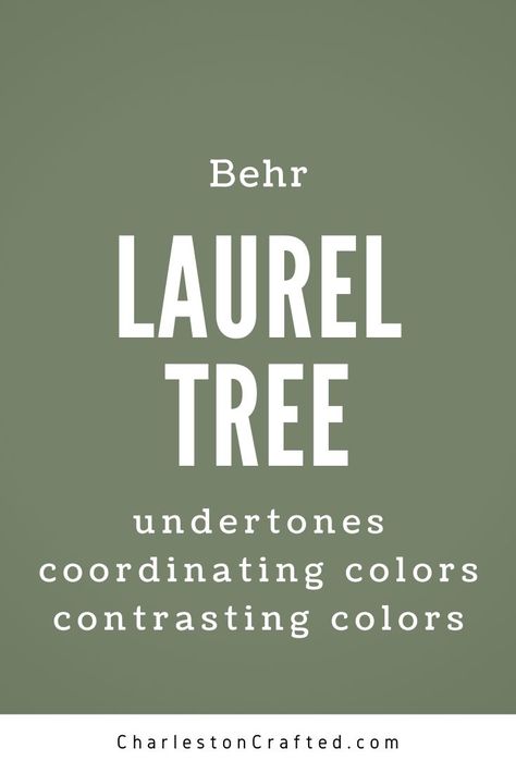 behr laurel tree Behr Green Color Palette, Laurel Garland Behr Paint, Behr Sage Brush, Behr Laurel Garland, Laurel Tree Behr Paint, Behr Laurel Tree, Behr Sage Green Paint Colors, Behr Sage Green, Green Paint Colors Behr