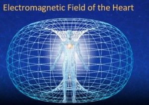 Torus: Electromagnetic Field of the Heart Electromagnetic Field, Sacred Feminine, Body Organs, Energy Flow, Energy Field, Sacred Geometry, Energy Healing, Consciousness, Psychic