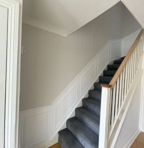 dulux nutmeg white hallway and stairs Stairs And Hallway Ideas, House Hallway, تحت الدرج, Stair Paneling, Entrance Hall Decor, Garden Trading, House Staircase, Narrow Hallway Decorating, Hallway Inspiration