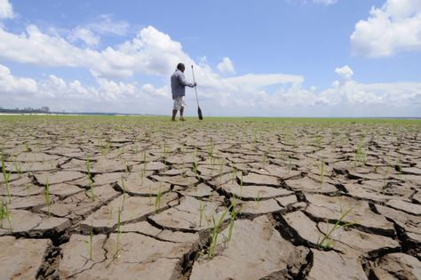 Earth Overshoot Day 2014 was August 19. Who is paying attention? - On Borrowed Time, Carter Roberts, Foreign Affairs, Aug 19, 2014 #globalsystem #overshoot #earth #governance #sustainability #resilience Earth Overshoot Day, Global Food Security, Paris Agreement, Civil Liberties, World Economic Forum, Southern Africa, Global News, Save Earth, Natural Resources