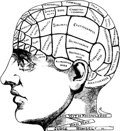 Phrenology held that personality characteristics were determined by the shape of someone’s skull. Description from gty.org. I searched for this on bing.com/images Brain Mapping, Map Projects, Creative Block, Mind Over Matter, Brain Activities, Human Brain, Art Practice, Art Therapy, Temporary Tattoos