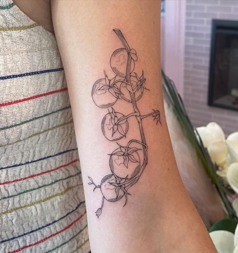 Tomato Tattoo, Vegetable Tattoo, Tomatoes On The Vine, Fruit Tattoo, Vine Tattoos, Botanical Tattoo, Tattoo Cover-up, Time Tattoos, Fine Line Tattoos