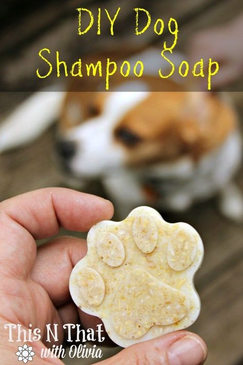 DIY Dog Essential Oil Oatmeal Anti-Itch and Flea/Tick Repellent Shampoo Soap Bars Dog Oatmeal, Diy Dog Shampoo, Homemade Dog Shampoo, Dog Shampoo Bar, Dog Soap, Tick Repellent, Diy Tumblr, Diy Essentials, Anti Itch