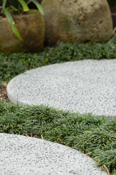 Round Concrete pavers, Honed concrete, Mondo grass Round Pavers Walkway, Round Concrete Steps, Mondo Grass Pavers, Jj Thomson, Round Pavers, Round Stepping Stones, Honed Concrete, Concrete Paving Slabs, Micro Concrete