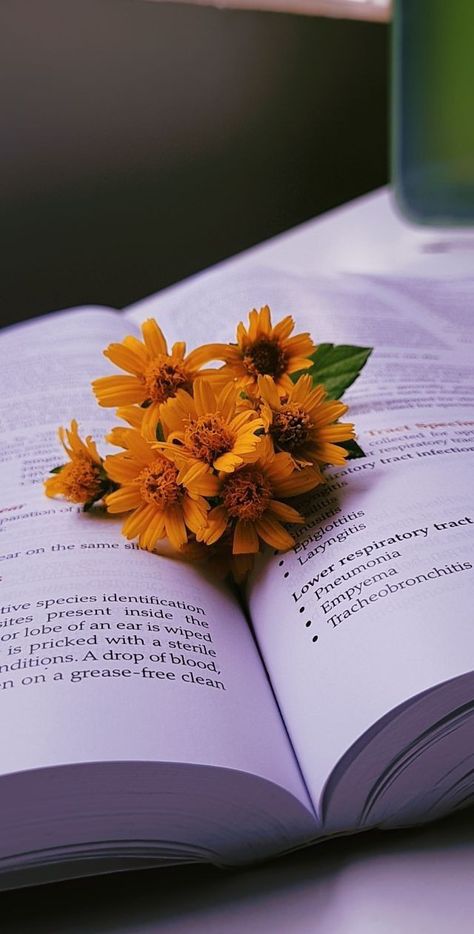 @flowbook @book @reading Books With Flowers Aesthetic, Profile Flower Picture, Bengali Aesthetic Photography, Flower In Hand Aesthetic, Book Photography Ideas Simple, Flower Dp For Instagram, Flower Profile Picture, Holi Aesthetic, Aesthetic Book Reading