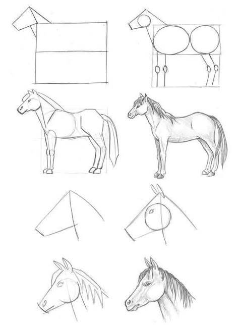 Horse Sketch Easy, Drawing Ideas Horse, Horse Drawing Easy, Easy Horse Drawing, Horse Tutorial, Horse Drawing Tutorial, Drawing Tutorial Step By Step, Horse Head Drawing, Horse Art Drawing