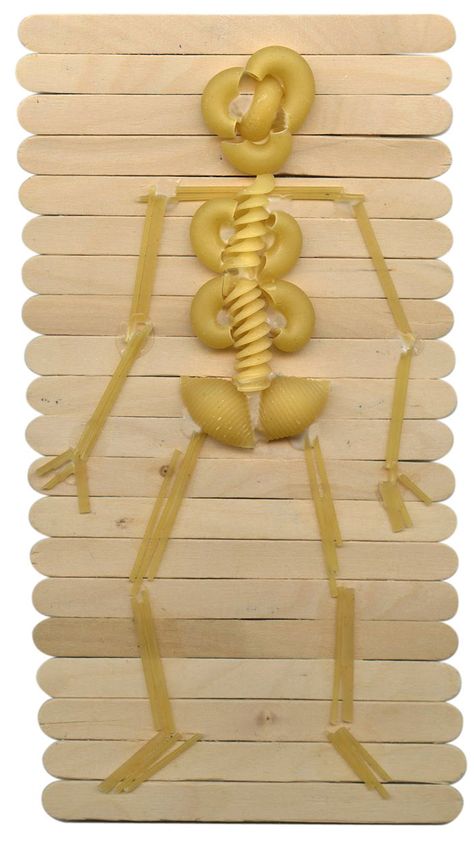 Art Projects for Kids: Halloween Pasta Skeleton Skeleton Project For School, Pasta Skeleton, Skeleton Art Projects, Medical Crafts, Brain Cake, Skeleton Craft, Adventure Challenge, Pasta Art, Halloween Science