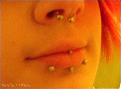 Septum , vertical labret and snake bites . Snake Bites Vertical Labret, Double Vertical Labret Piercing, Snake Bites And Labret, Vertical Labret And Snakebites, Snakebites And Vertical Labret, Vertical Labret With Snake Bites, Snake Bites Jewelry, Double Vertical Labret, Septum Snakebites