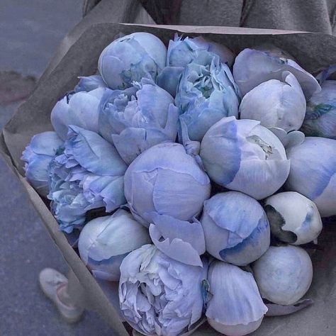 Blue Peonies Aesthetic, Gods Nature, Cbd Packaging, Periwinkle Flowers, Blue Peony, Blue Peonies, Ivy House, Boquette Flowers, Glitter Flowers