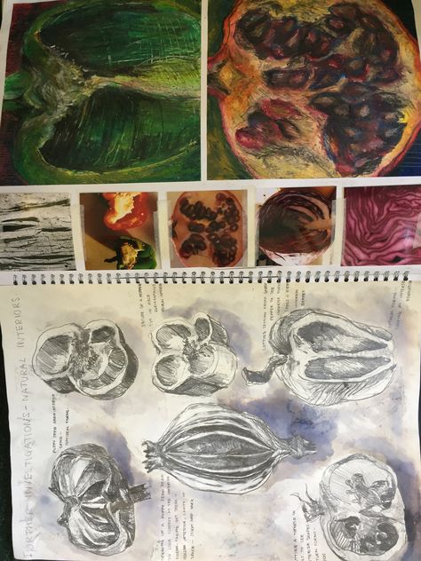 A Level Sketchbook A Level 3d Design Sketchbook, Gcse Art Sketchbook Experimentation, A Level Art Experimentation Page, Art Gcse Observational Drawing Page, Gcse Art Sketchbook Layout Grade 9 Natural Forms, Gcse Fragments, Artist Research Page Gcse Natural Forms, A Level Sketchbook, Natural Forms Gcse