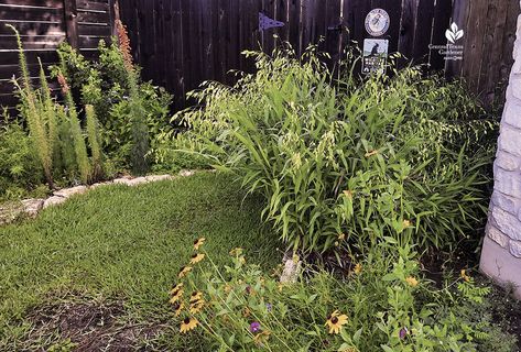 Front Yard Native Plant Wildlife Habitat | Central Texas Gardener Texas Front Yard, Texas Wildlife, Year Round Flowers, Yard Privacy, Texas Sage, Limestone Block, Desert Willow, Bermuda Grass, New Garden