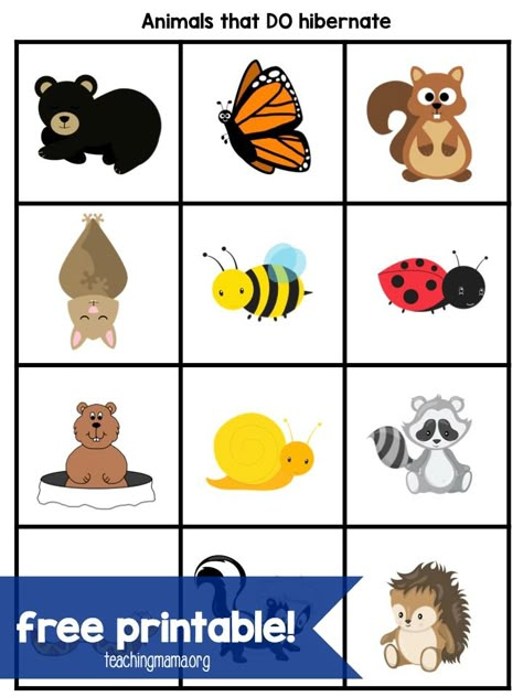 Hibernation Activities for Preschoolers Hibernation Preschool Theme, Preschool Hibernation, Animals In The Winter, Hibernation Preschool Activities, Hibernation Crafts, Hibernation Activities, Hibernation Preschool, Hibernating Animals, Preschool January