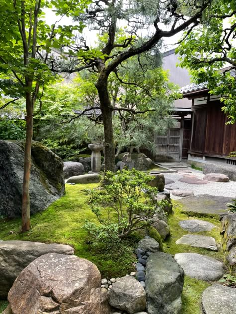 Japanese Garden Entry, Japense Gardens Backyard, Japanese Rain Garden, Small Garden Front Of House, Large Front Yard Landscaping Ideas, Small Garden Design Ideas Layout, Zen Landscaping, Japanese Water Gardens, Japanese Backyard