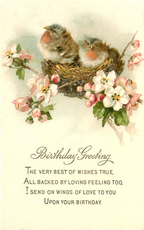 10 Happy Birthday Bird Images! - The Graphics Fairy Happy Birthday Birds, Happy Birthday Vintage, Bird Birthday, Vintage Birthday Cards, Birthday Postcards, Old Cards, Images Vintage, Vintage Birthday, Happy Birthday Images