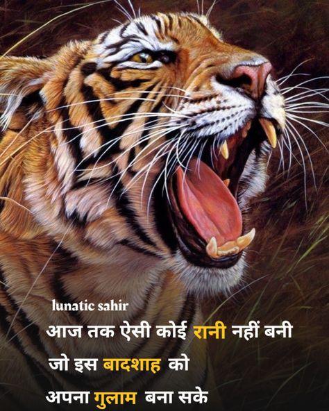 #Hindi #quote #Quotidien #quotes #quoteoftheday #quotestoliveby #quotesoftheday #quotesdaily #MotivationalQuotes #MotivationalMonday #Motivational #Motivacion #Motivacion #motivationalspeaker #Inspirational #Inspiration #InspirationalQuotes #inspired #attitude #lunatic_sahir Tiger Attitude, Lion King Video, King Video, Funny Flirting Quotes, Tiger Video, Actors Illustration, Crown Aesthetic, Likeable Quotes, Attitude Quotes For Boys