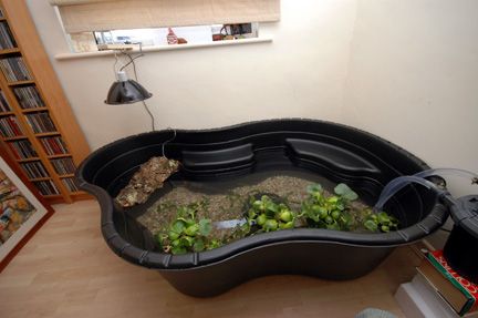 Red Slider Turtle Habitat Aquarium Above: A surface mount pond in use with external canister filters. Turtle Pond Ideas, Turtle Tub, Tartaruga Habitat, Aquatic Turtle Habitat, Red Ear Slider, Turtle Cage, Turtle Tank Ideas, Turtle Enclosure, Turtle Tanks