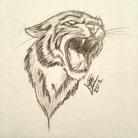 Wildcat Tattoo Ideas, Tiger Drawing Aesthetic, Drawing Ideas Tiger, Bob Cat Drawing, Tiger Drawings Easy, Tiger Sketch Easy, Easy Tiger Drawing Simple, Wild Animals Drawing Sketch, Tiger Drawing Reference