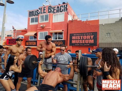 Muscle Beach, Venice, California Muscle Beach California, Phil Heath Bodybuilding, Arnold Bodybuilding, Arnold Schwarzenegger Bodybuilding, Schwarzenegger Bodybuilding, Muscle Beach, Beach Workouts, Pumping Iron, Beach Yoga