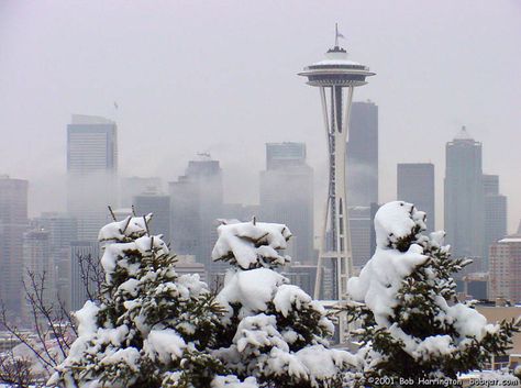 seattle | winter is a tough time for me seattle is very cloudy and rainy during ... Seattle Washington Winter, Seattle Winter, Seattle Space Needle, Sleepless In Seattle, Space Needle Seattle, The Emerald City, Moving To Seattle, Evergreen State, Puget Sound