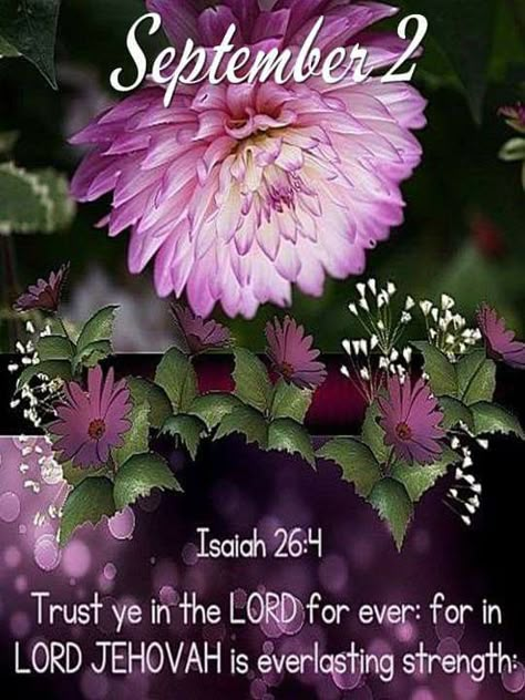 December Scriptures, Isaiah 26 4, Beautiful Bible Quotes, Words Of Faith, Strength Bible Quotes, Jehovah Quotes, Scripture Images, Good Morning My Friend, Isaiah 26