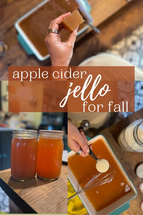 Apple Cider Jello for Fall - Wilson Homestead Jello For Kids, Benefits Of Gelatin, Jello With Fruit, Kid Recipes, Beef Gelatin, Gaps Diet, Homemade Decor, Fall Time, Frugal Meals