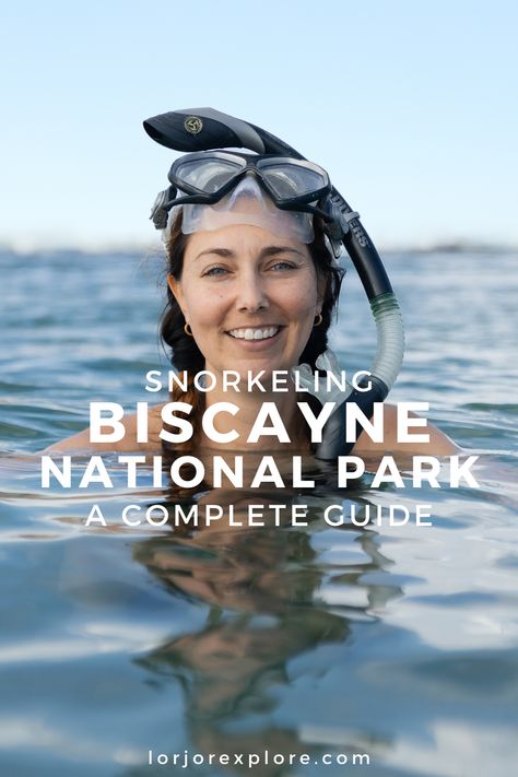 Plan your snorkeling adventure in Biscayne National Park with our comprehensive blog post guide. #Biscayne #Snorkeling #AdventureGuide Double Kayak, Biscayne National Park, Bottlenose Dolphin, Mangrove Forest, Contact Print, Sailing Trips, Adventure Guide, Snorkeling Gear, Winter Getaway