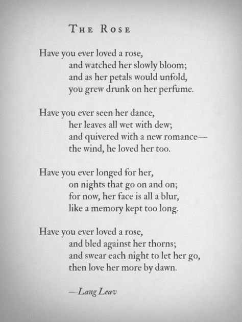 The Rose~ Lang Leav Lang Leav Poems, Rose Quotes, Lang Leav, The Poem, Poetry Words, A Poem, Poem Quotes, Poetry Quotes, Love Poems