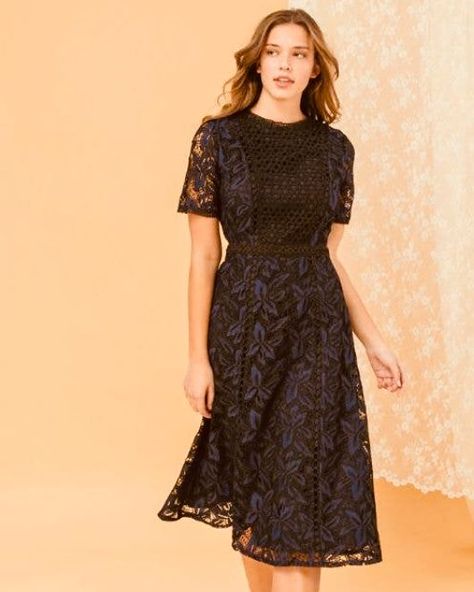 If only every dress could be like this one. Gorgeous lace. Black and navy? STUNNING. A beautiful, classy, feminine fit. And the metallic zipper down the back? Just one more beautiful cherry on top. 😍😍😍 https://www.andgold.co/product-page/lace-midi-dress-in-ink-black-and-navy Midi Dress Outfit Formal, Strapless Midi Dress Outfit, Black Strapless Midi Dress, Midi Dress Outfit, Black Lace Midi Dress, Strapless Midi Dress, Navy Midi Dress, Lace Inset, The Boutique