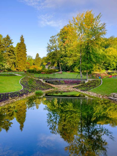 Bielefeld Germany, 9 September, Nature Hd, Early In The Morning, Late Summer, Botanical Garden, Botanical Gardens, In The Morning, Cemetery