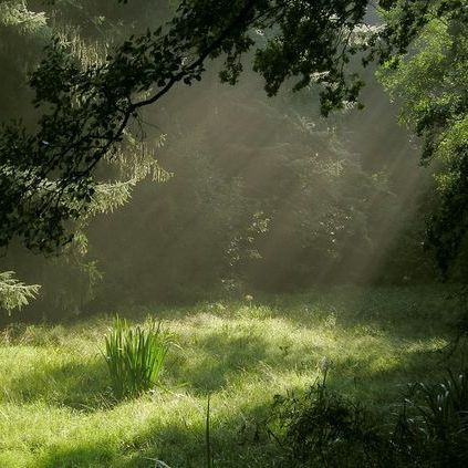 Foto Muro Collage, Dark Green Aesthetic, Fairy Aesthetic, + Core + Aesthetic, Alam Yang Indah, Nature Aesthetic, Pretty Places, Green Aesthetic, Aesthetic Photo