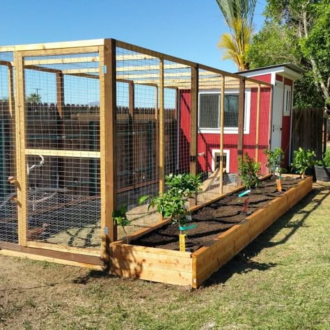 Reban Ayam, Chicken Runs And Coop, Cute Chicken Coops, Chicken Coop Garden, Chicken Shed, Chicken Barn, Backyard Chicken Coop Plans, Chicken Coup, Raised Planter Beds