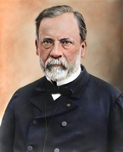 Louis Pasteur, Philosophers, Public Health, School Stuff, Collage, History, Health, Pins, Quick Saves