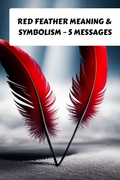 The humble red feather is more than meets the eye! This simple feather holds great significance in many cultures and beliefs worldwide, from its brightly striking color to its deep symbolic value. Whether inspired by Native American history or looking for uplifting ideas, learning about the meaning behind a red feather can be quite enlightening. Join us as we uncover the various interpretations attributed to how different cultures used this captivating icon, from spirituality to art therapy! Red Feather Meaning, Brown Feather Meaning, Meaning Of Red, Finding Feathers, Feather Meaning, Hawk Feathers, Totem Animals, Red Meaning, More Than Meets The Eye