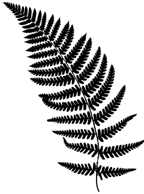 Tropisches Tattoo, Forest Concept, Fern Images, Illustration Forest, Dot Painting Tools, Fern Tattoo, Idee Cricut, Fern Frond, Trash Polka