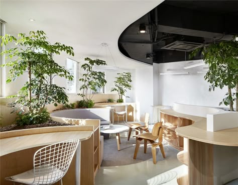 Chinese Office, Walls Design, Office Idea, Concrete Walls, Green Office, Creative Office, Hidden Garden, Workplace Design, Design Del Prodotto