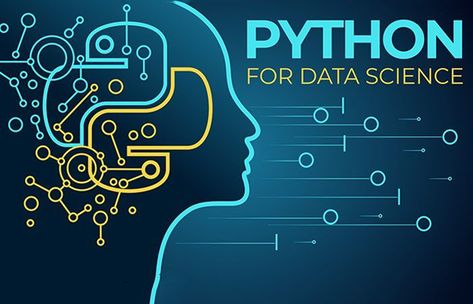 There are so many opportunities in the job market for programmers, and Python is one of the most popular languages out there. It's also relatively easy to learn, which makes it perfect for beginners! What Is Data Science, World Data, Data Structures, Python Programming, Data Analyst, Blended Learning, Data Scientist, Programming Languages, Business Intelligence